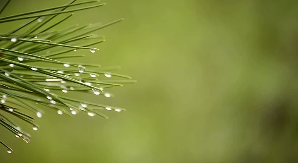 �� ������ ����������, ������ �� ����������� ������� �����, ����� � ��������� ������� �����