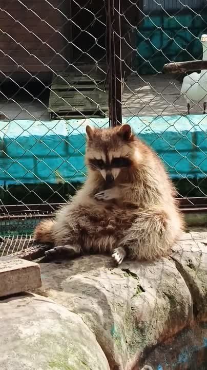 � ������� ������ ���� �� ��������������� �������� �������� �������� � �����