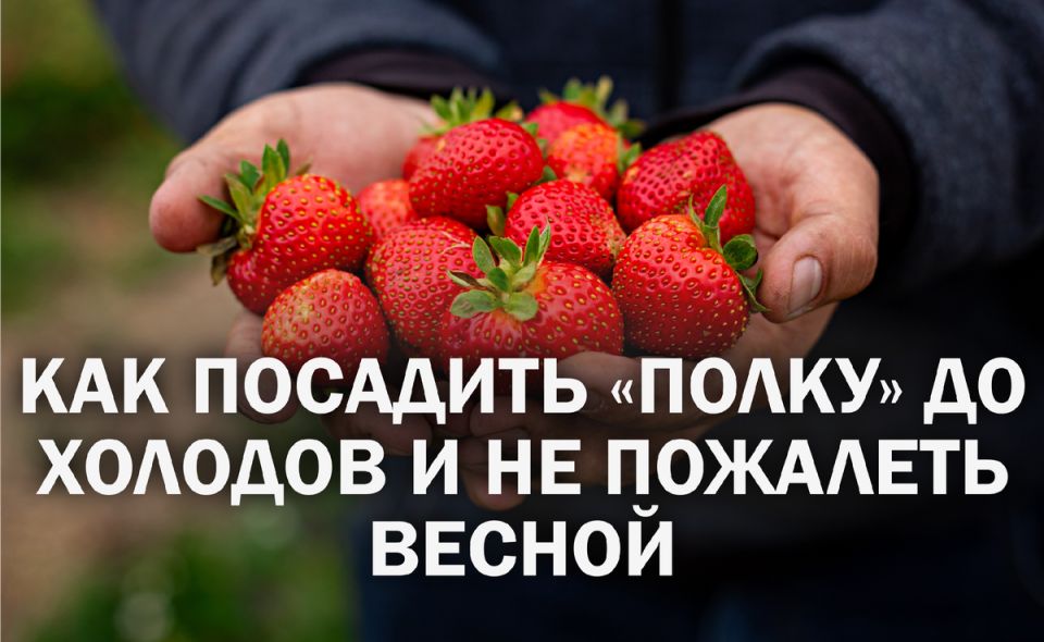 ��� ������� �������� ������� �������� ����� ������ ��� �������� ������ ������