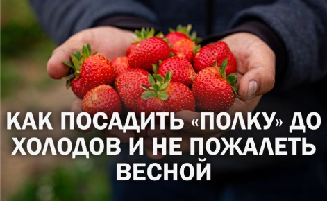 ��� ������� �������� ������� �������� ����� ������ ��� �������� ������ ������