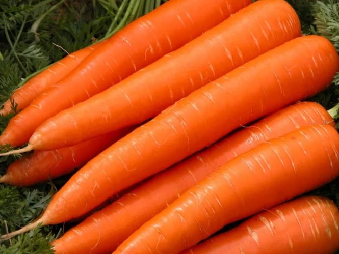 ������ ������ ����� ������� � ��� ���������� ��� ��� ������ ������