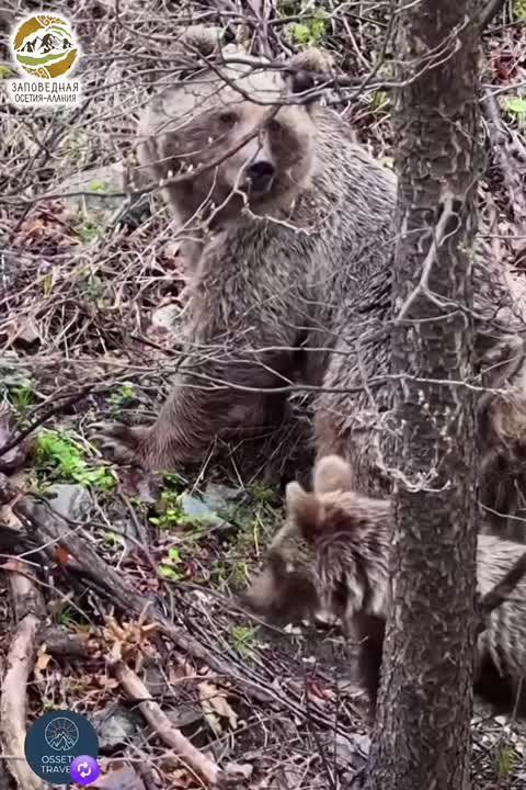 ���� � �������� ���������������� ����