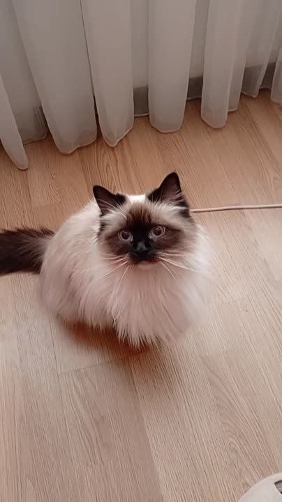 ����� ���������� ��������������� ������� ������ �������