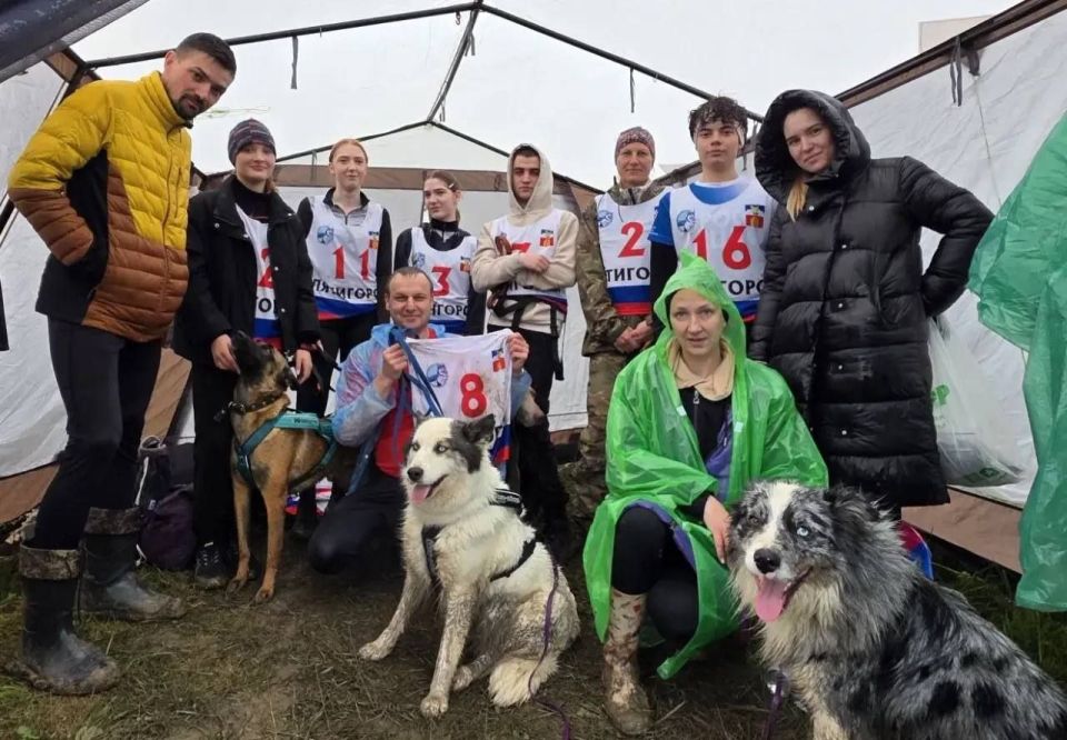 ���������� ����� - ��������� � ���������� ���� �� �������� ������ ������ � �������������