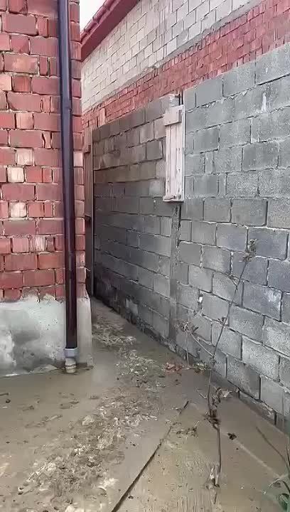 ��� ���� (������, ����� ���������) ��������� ����� � ���������