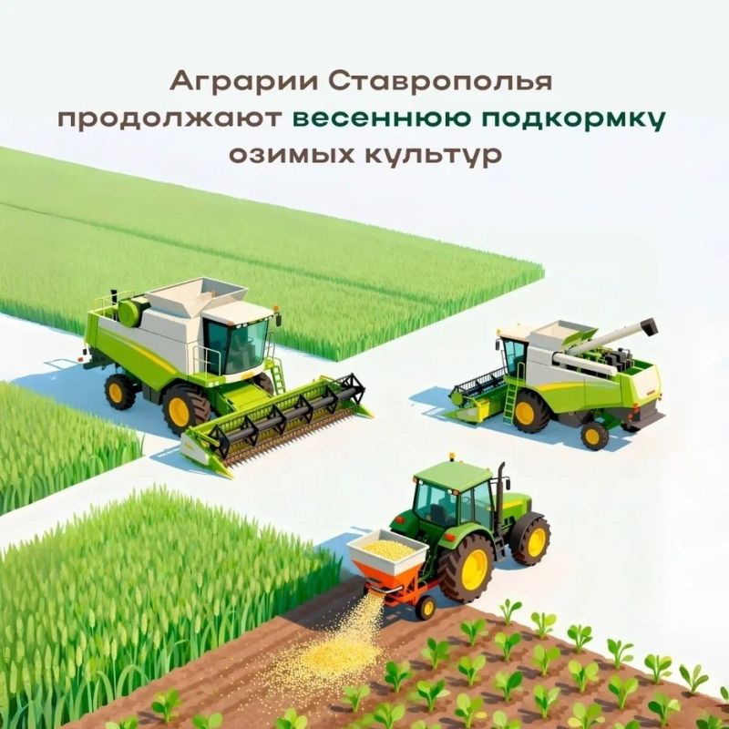 �� ����������� ����� �������� ��������� ������ �������