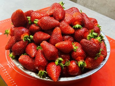 ������� �������� �� �������� �� ��������� ������: ������� ������