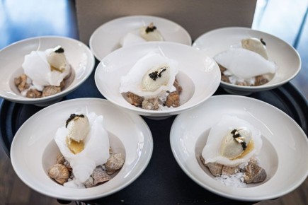 ������� �����������: ����������� � Atlantica ��������� ����� ���������� ������