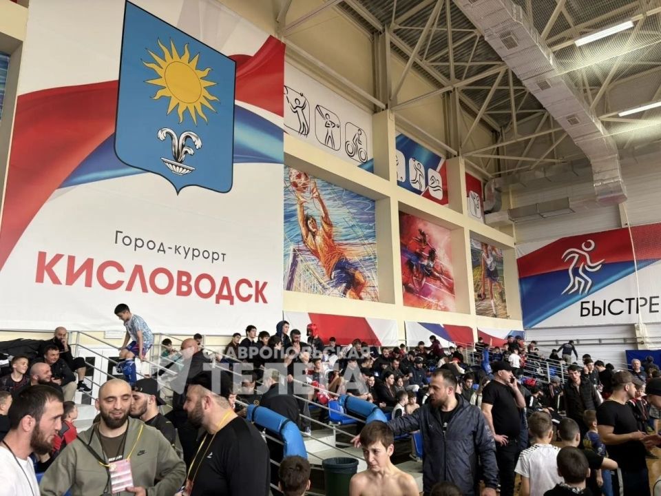 ������ �MMA - Free Fight� �������� � ��� ��� � �����������