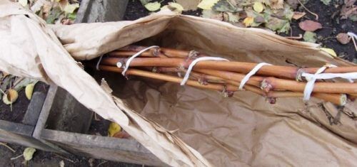 ��� ����������� �������� � �����: ������� ������ ��� ���������