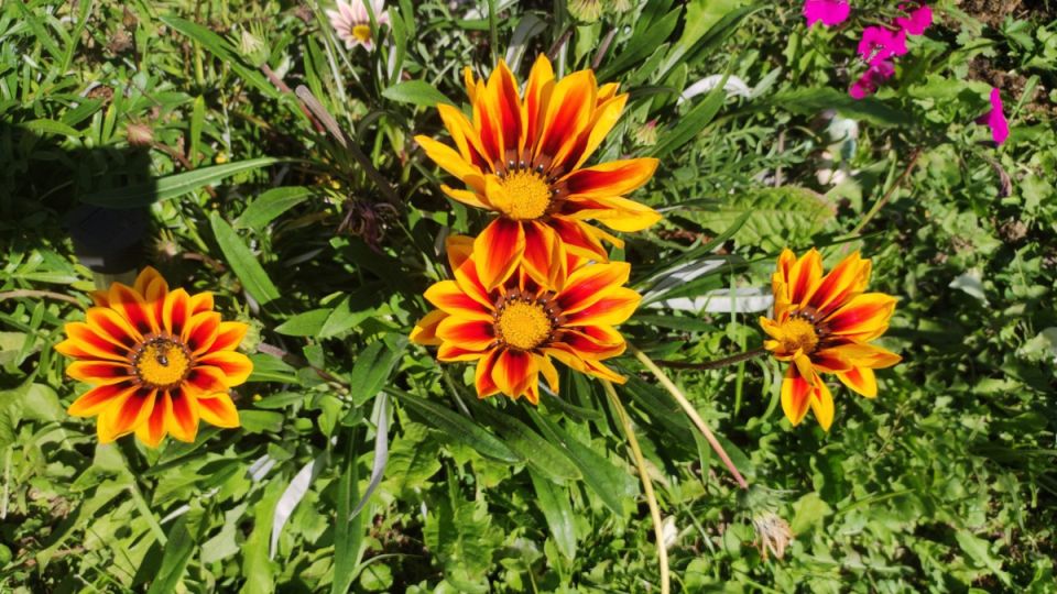 ������� ��������� ����: 12 ������������ ��� ������ � �����