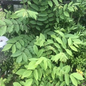 ��� ��������� ������������ ����: �� ����� �� ������������ ������