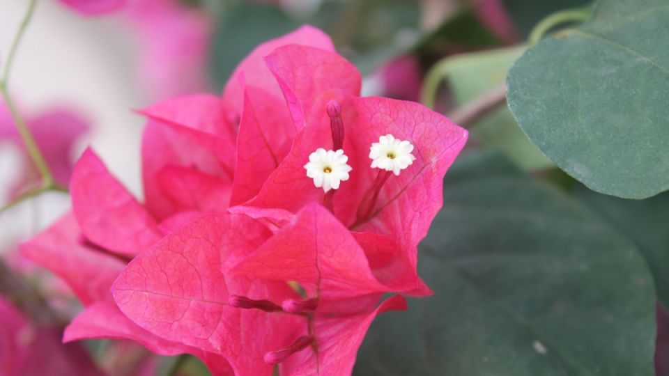 �����������: ����� ������ � ����� ��������� � �������� ����� �� ���