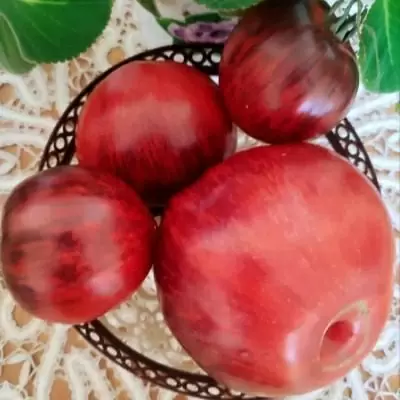 Томат Ибица Елены: сладкие плоды для свежих салатов и щедрый урожай