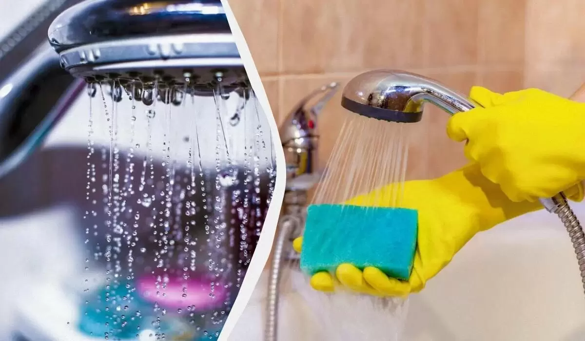 Как очистить душевую лейку: простые и доступные способы