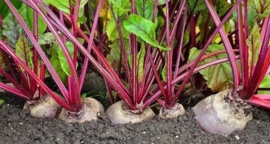 ��� ��������� ������ � ����: ������� �������� � �������� �����������