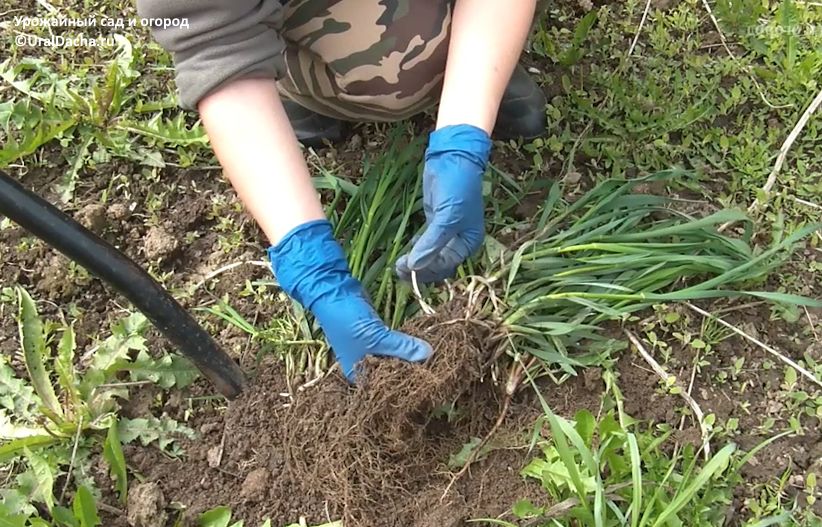 ���������� ���� � �����: ��� ���������� �� ��������� �������