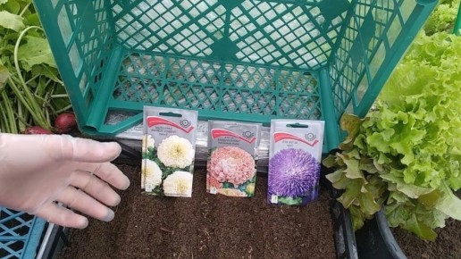 ��� ������� ��������� ������� ����: ������� �������� � �������������