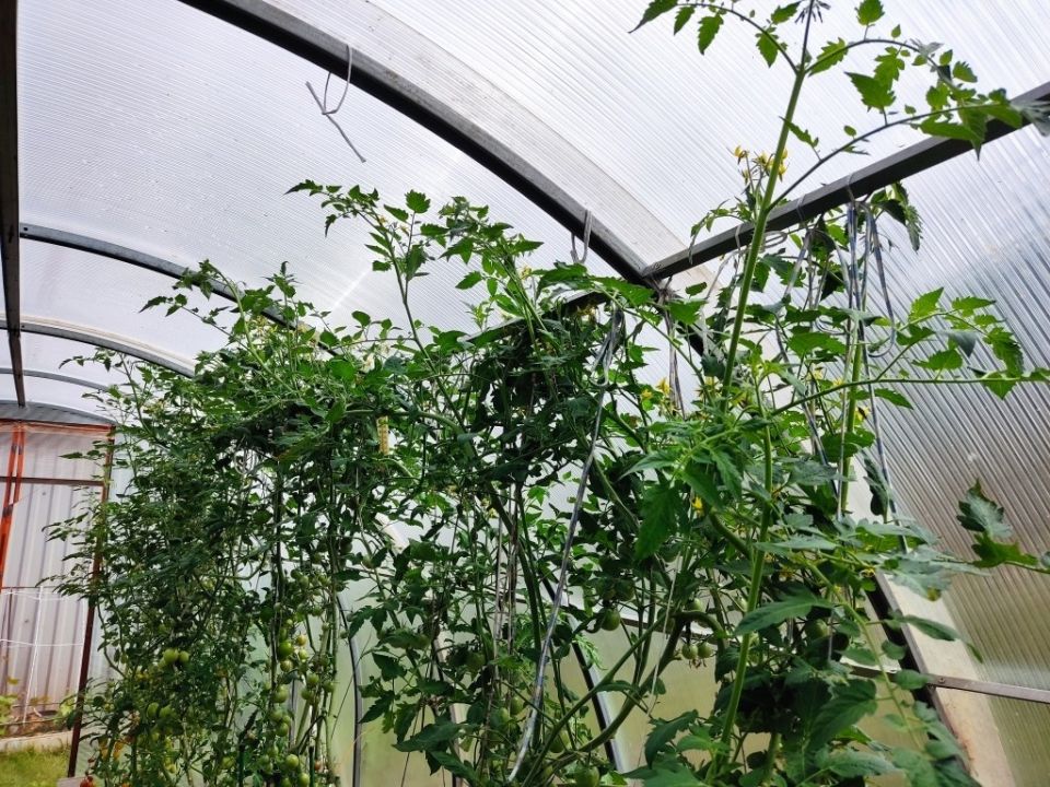 ��� ���������� � ���������� ������ ��������� � �������: ������ �����������