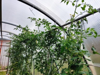 ��� ���������� � ���������� ������ ��������� � �������: ������ �����������