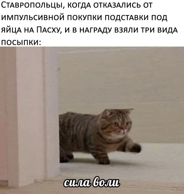 ������������ ����� ���� ���������� � ����� �� �������������