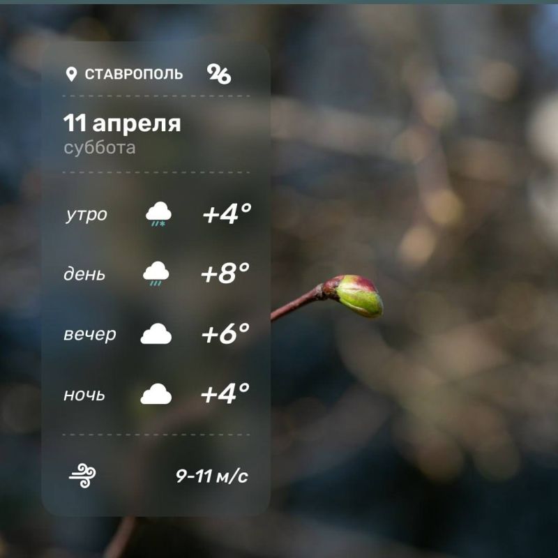 ������ � ���������� 11 ������