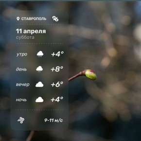 Погода в Ставрополе 11 апреля