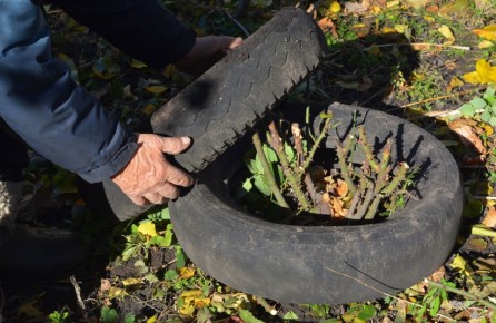 ��� ��������� ���� �����: �������� ���������������� ������