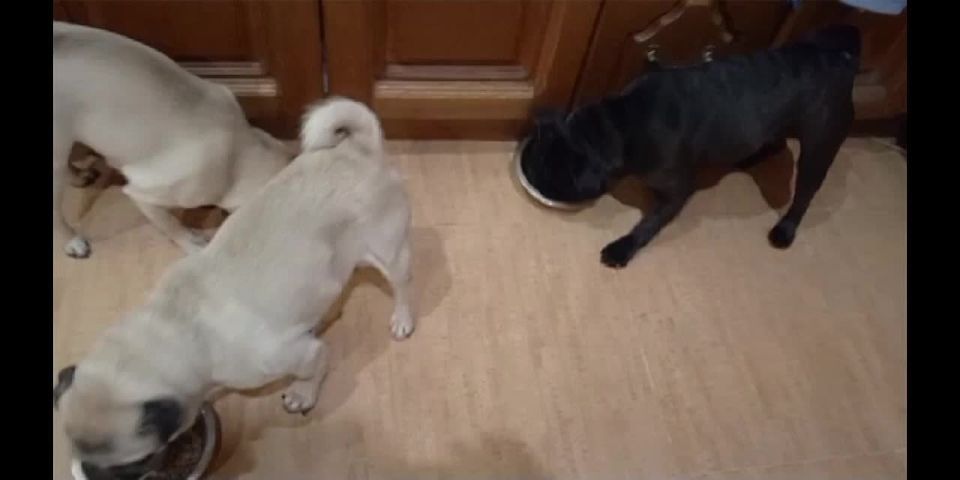 ������� ����, ���� � ���� ��� ���������� � ������������