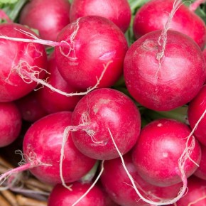 ��� �������� ������� � ������� �����: ������� ��������� ������