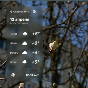 Погода в Ставрополе 12 апреля