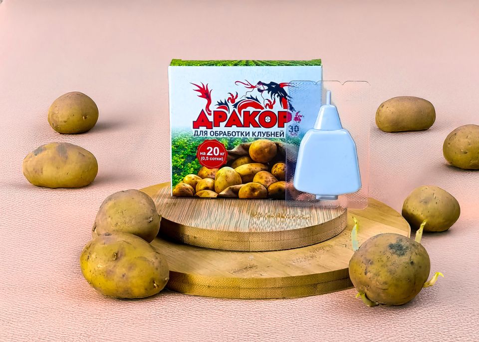 �������� ������ ���������: ����������� � ���������� '������' ����� ��������