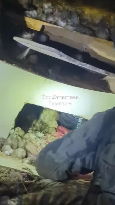 ������ �������� ������ � ������� ��-��� ������ � ��������� ��������� � ����