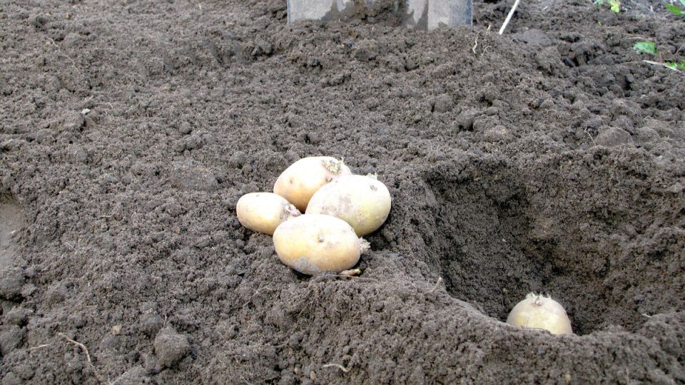 ������ ����� �������� ������� ��������� � ��� �������� ������� � �������