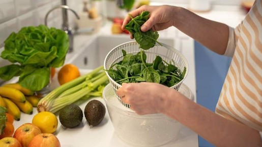 ������: ���� � ������ ��� �����������