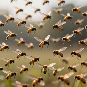 Мошки в рассаде: как предотвратить вредителей и сохранить здоровье растений