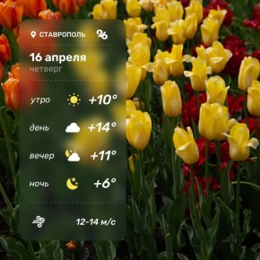 Погода в Ставрополе 16 апреля
