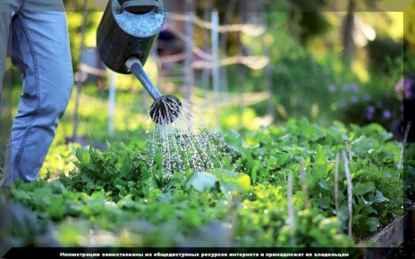 ������ ������� � ������� �� ����: ������ ��� ���������