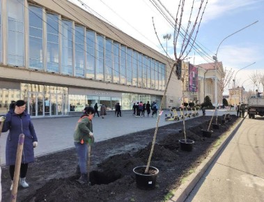 Площадь Ленина озеленяют в Ставрополе
