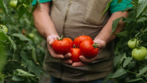 ��� ��������� �������� � ��� ���� �����������: ������� �������� �������