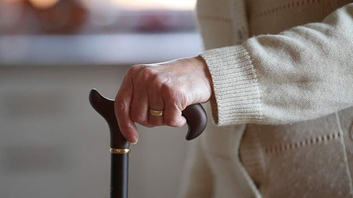 ��������: ���� � ������ ����� �� ��������