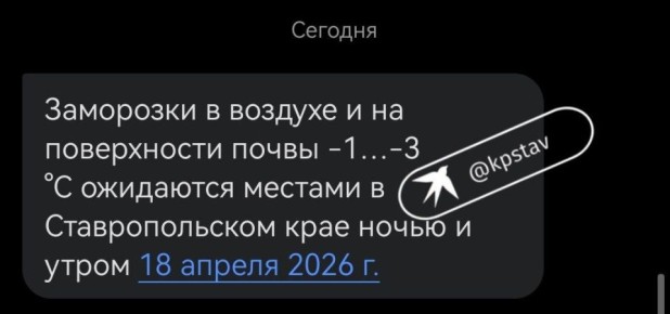 ��������� ������ ����������� �� �����������