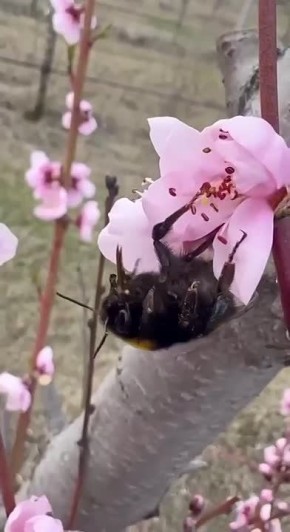 ������� ��������� ���������� � ��� �������