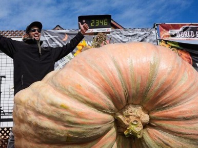 �������������� ������� ��������� ������� ������, �������� ����� ����� ����� �����