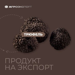 �������: ����� ���������� ���������� ���?