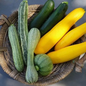 ����� ������������� ��������������: �������� ������ ��� ������ �������