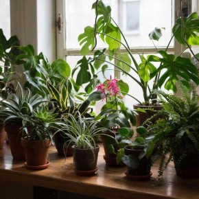 ������ ������ � ��������� ���������: ��� � ����� ����� ������������� � �������