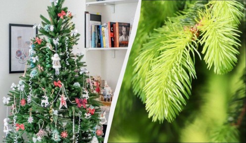 ��� ���� ���������� ���� ����� ����� ��������� ���������� ���������� � ����