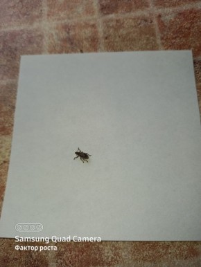 ������ �� ����� ������� � ��������� �������� ������