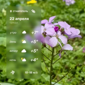 ������ ����! ������ �� �������